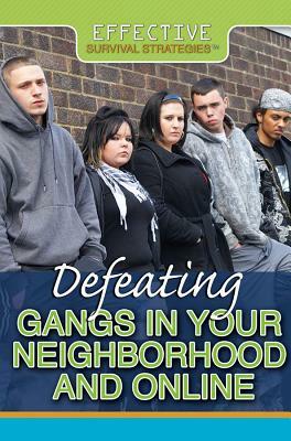 Defeating Gangs in Your Neighborhood and Online by Philip Wolny