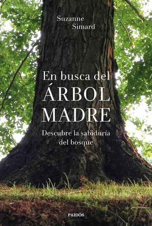 En busca del Árbol Madre: Descubre la sabiduría del bosque by Suzanne Simard