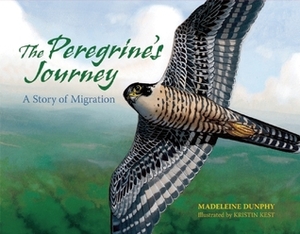 The Peregrine's Journey: A Story of Migration by Madeleine Dunphy, Kristin Kest