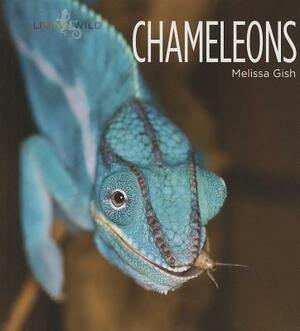 Chameleons by Melissa Gish