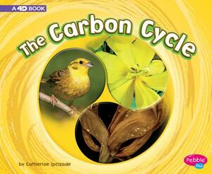 The Carbon Cycle: A 4D Book by Catherine Ipcizade