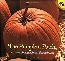 The Pumpkin Patch by Elizabeth King