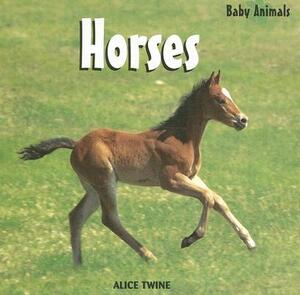 Horses by Alice Twine