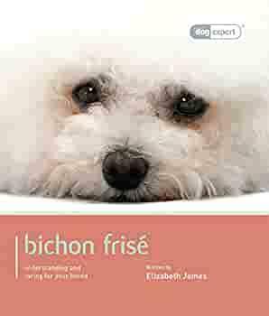 Bichon Frise by Elizabeth James
