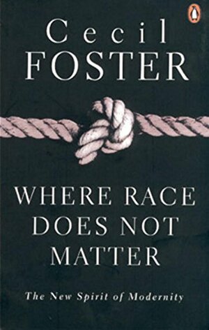 Where Race Does Not Matter: The New Spirit Of Modernity by Cecil Foster