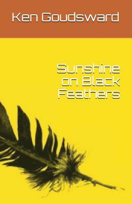 Sunshine on Black Feathers by Ken Goudsward