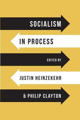 Socialism in Process by Justin Heinzekehr
