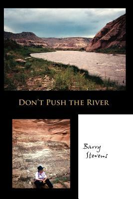 Don't Push the River by Barry Stevens