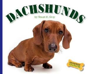 Dachshunds by Susan H. Gray