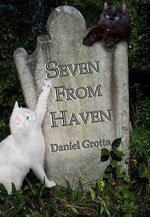 Seven From Haven by Daniel Grotta, Daniel Grotta