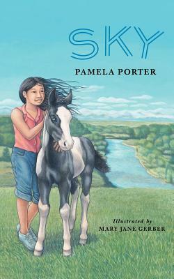 Sky by Pamela Porter