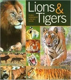 Lions and Tigers by Pierre Darmangeat, Michel Cuisin