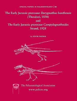 The Early Jurassic Pterosaur Dorygnathus Banthensis (Theodori, 1830) and the Early Jurassic Pterosaur Campylognathoides Strand, 1928 by Kevin Padian