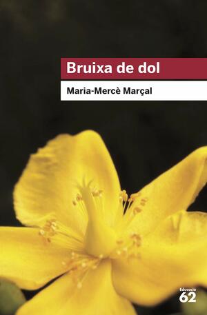 Bruixa de dol by M. Mercè Marçal Serra
