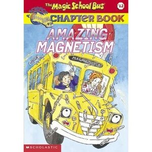 Amazing Magnetism by Rebecca Carmi