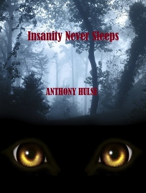 Insanity Never Sleeps by Anthony Hulse