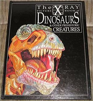 The X Ray Picture Book Of Dinosaurs And Other Prehistoric Creatures by Kathryn Senior