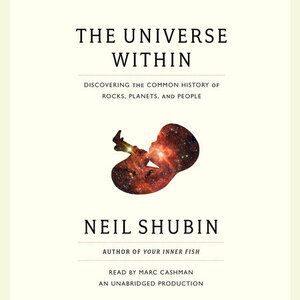 The Universe Within: Discovering the Common History of Rocks, Planets, and People by Neil Shubin