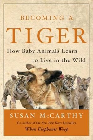 Becoming a Tiger: How Baby Animals Learn to Live in the Wild by Susan McCarthy