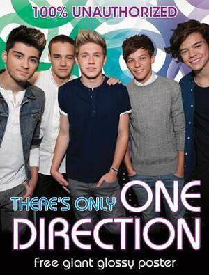 There's Only One Direction by Jen Wainwright