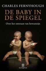 De baby in de spiegel by Charles Fernyhough