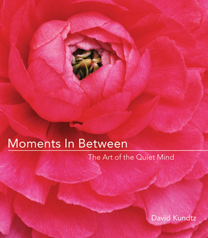 Moments in Between: The Art of the Quiet Mind (Daily Meditations; Inspiration Book for Women) by David Kundtz