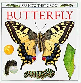 Butterfly by Kim Taylor, Mary Ling