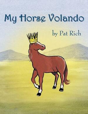 My Horse Volando by Pat Rich