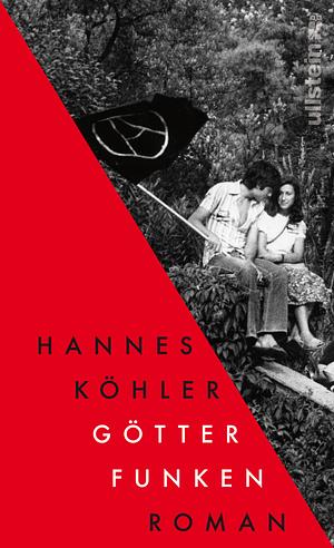 Götterfunken by Hannes Köhler