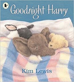 Goodnight Harry by Kim Lewis