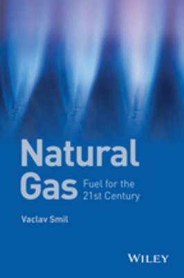 Natural Gas: Fuel for the 21st Century by Vaclav Smil