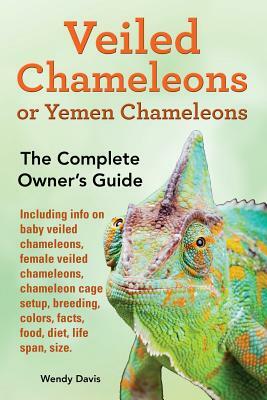 Veiled Chameleons or Yemen Chameleons as pets. info on baby veiled chameleons, female veiled chameleons, chameleon cage setup, breeding, colors, facts by Wendy Davis