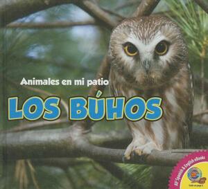 Los Buhos by Aaron Carr