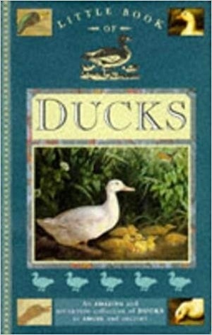 Little Book of Ducks by Rhoda Nottridge