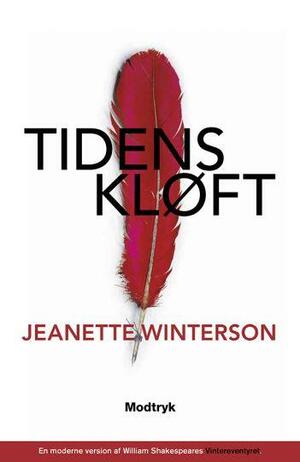 Tidens kløft by Jeanette Winterson