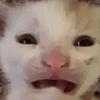 junooooo's profile picture