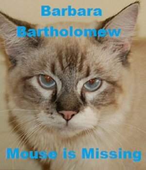 Mouse Is Missing by Barbara Bartholomew