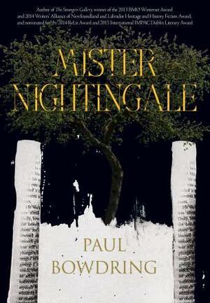 Mister Nightingale by Paul Bowdring