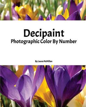 Decipaint: Photographic Color By Number by Laura McMillan