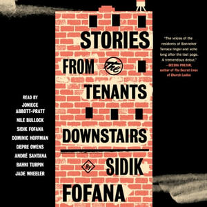 Stories from the Tenants Downstairs by Sidik Fofana