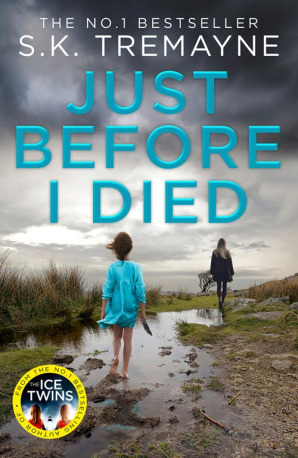 Just Before I Died by S.K. Tremayne