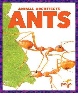 Ants by Karen Latchana Kenney