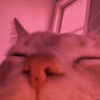 trish14's profile picture