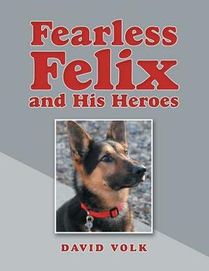 Fearless Felix and His Heroes by David Volk