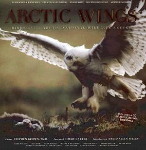 Arctic Wings: Birds of the Arctic National Wildlife Refuge [With CD] by 