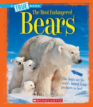 Bears (a True Book: The Most Endangered) by Katie Marsico