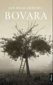 Bovara by Jan Roar Leikvoll