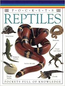 DK Pockets: Reptiles (DK Pockets) by Mark Lambert