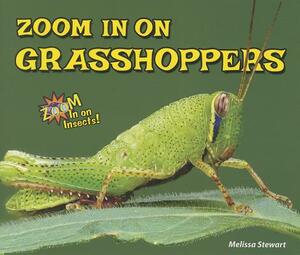 Zoom in on Grasshoppers by Melissa Stewart