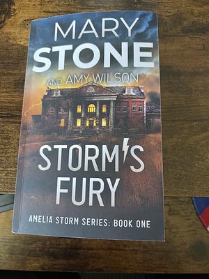 Storms's Fury by Mary stone